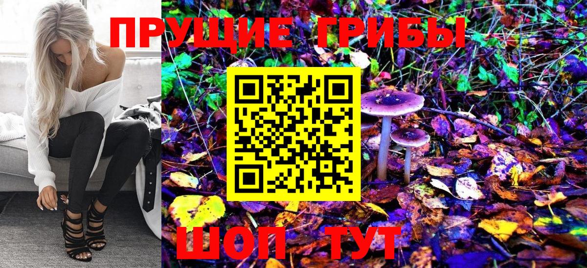 продажа наркотиков  Вход с VPN  Мончегорск  Псилоцибиновые грибы Magic Shrooms 