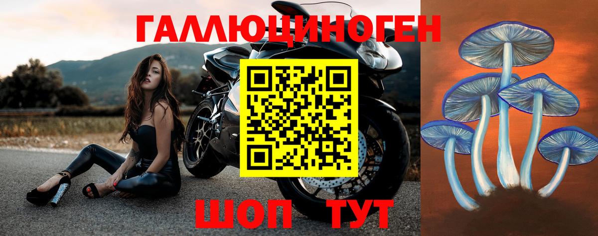 Псилоцибиновые грибы мицелий Мончегорск
